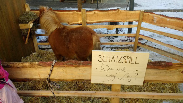 Advent am Dorfplatz 2017 - Schätzspiel: wie schwer ist unsere Lilly