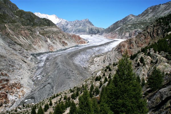 2010 Gletscher mit dem Bergrücken rechts 