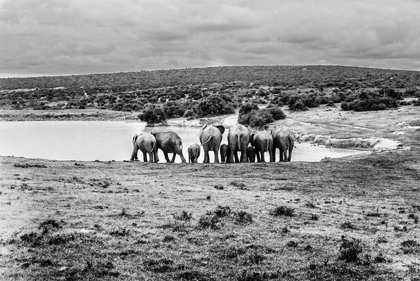 South Africa - Photo: Melina Johannsen  Kamera: Canon AE-1 analog