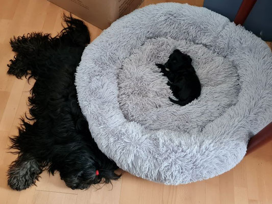 Was ist hier verkehrt?