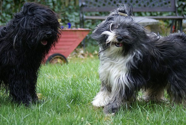 Yeshi und Jita