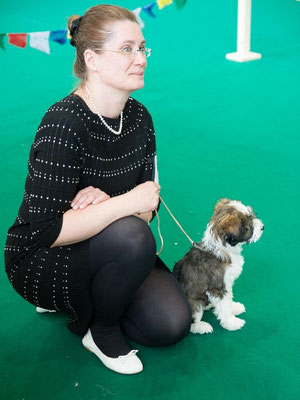 Puppyklasse März: Schauen mit Frauchen
