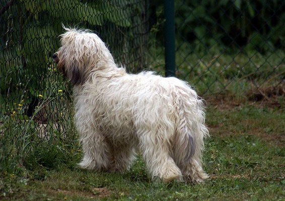19.7.15 - Nach der Wanderung im Garten - Geist gesehen, Fiona?