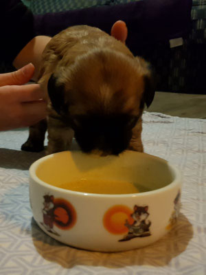 Tag 25, Mama wo ist Mama??? *schüttel