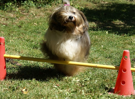 Milka im August 2016