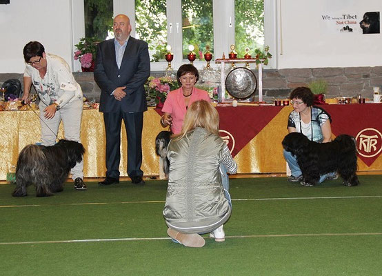 5.9.15 - Klubschau Werl - Yeshi und Gabi im Ring