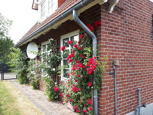 Unser Ferienhäuschen in Dagebüll-Fahretoft auf dem Deich