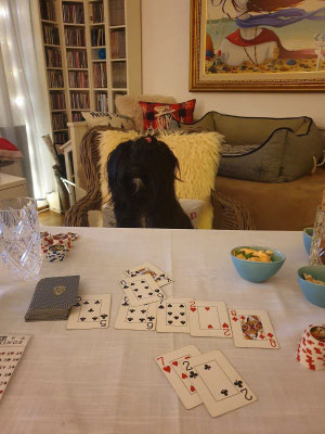 Mia (1)