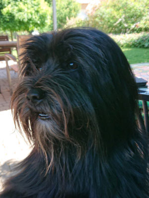 Sam (2)