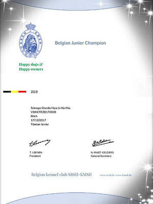 Urkunde "Belgischer Jugendchampion"