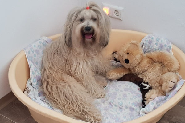 Tag 1 - stolze Mama Fiona mit ihren beiden Töchtern