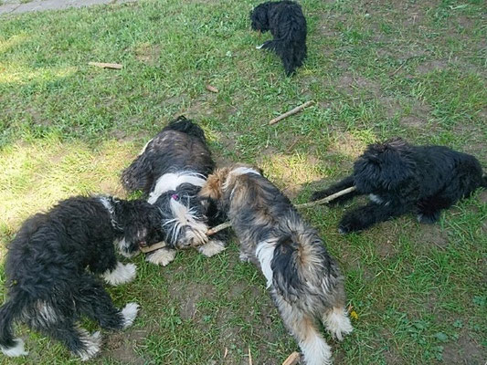 Yaro, Lisha, Han-na und Sam, im Hintergrund Santi