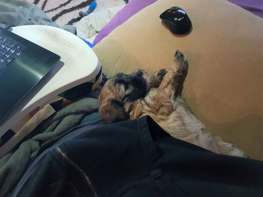 Homeoffice
