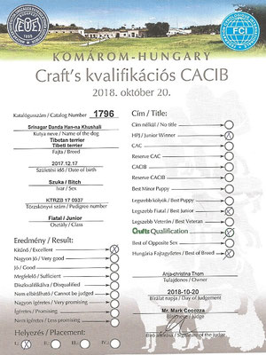 Jugendklasse Oktober Ungarn: Bericht