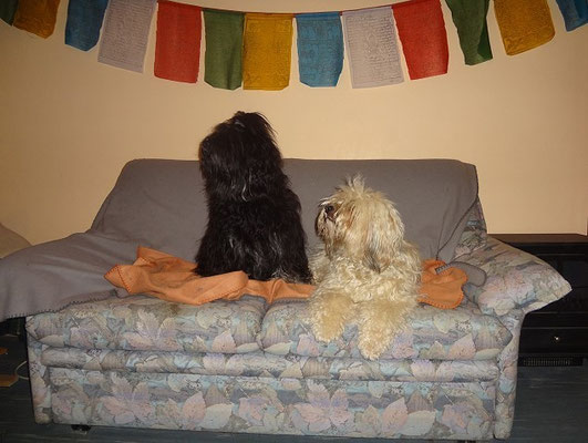 Die Geschwister auf der Couch