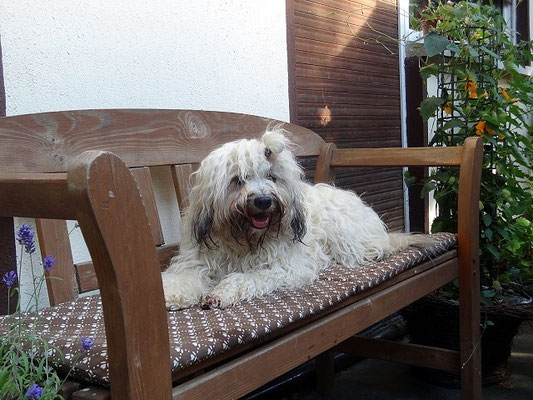 Fiona, doch eine Prinzessin