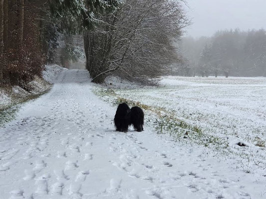 Schneemännlein Yeshi