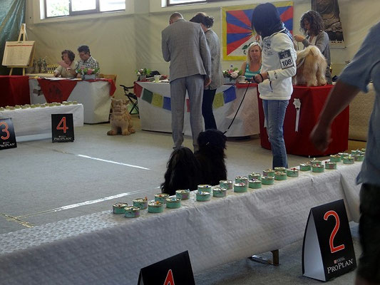 Zirndorf 2015: Yeshi mit Jutta im Ring.