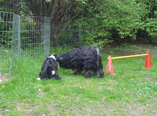Was machst du da, Kleine?