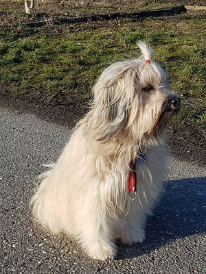 Sonne und kalter Wind: herrlich!