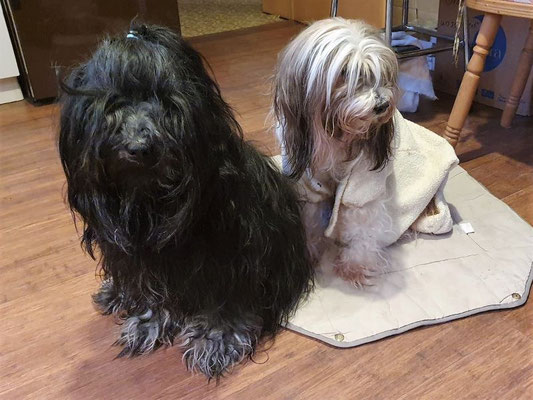 Yeshi und Milka