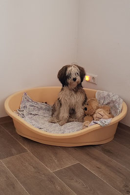 Tag 5 - Klein-Han-na versteht mit ihren 7 Monaten die Welt nicht. Ist sie zu alt oder zu jung für die Wanne?