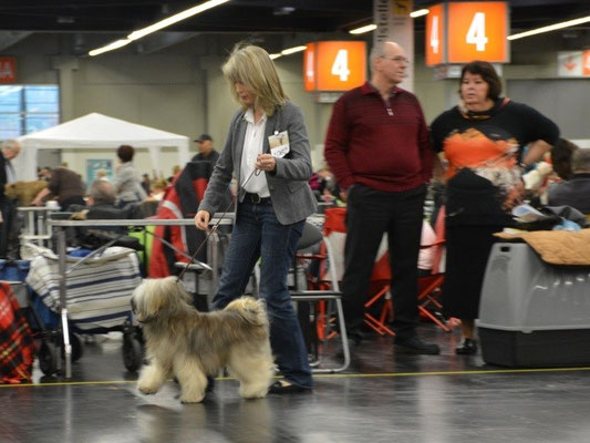 CACIB Nürnberg 2016 - Mon-sha