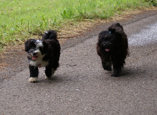 Lisha und Yeshi