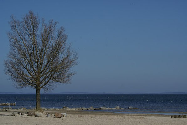 Am Strand von Ueckermünde