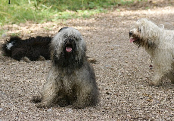 19.7.15 - Wanderung zur Villa Rustica - Dreckspatz Mon-sha