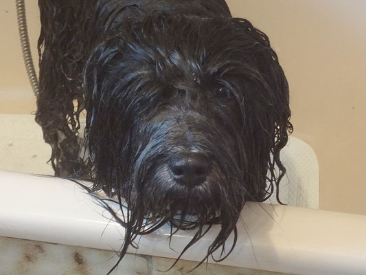 Holt mich endlich mal einer aus der Wanne?