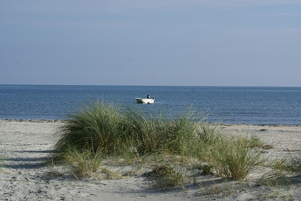 Dänemark 2015 - Unser Strand