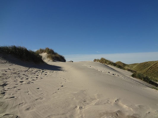 Dänemark 2015 - Dünen bei Gammel Skagen