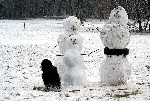 Guten Tag, Herr und Frau Schneemann! 