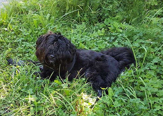 Yeshis Tochter Pepper