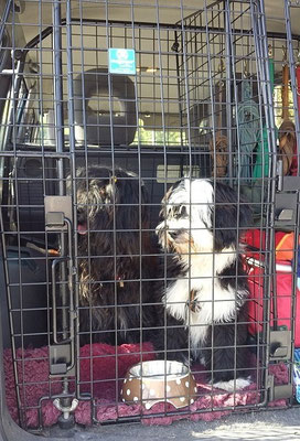Yeshi und Lisha auf der Heimfahrt nach der Ausstellung Zirndorf