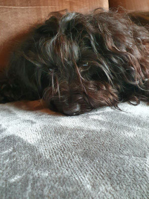 Santi (2)