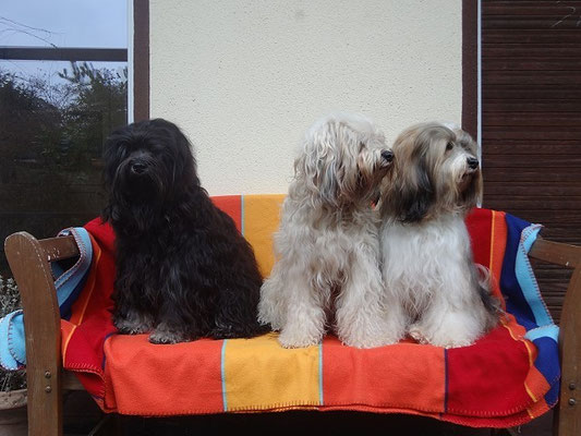 13.12.15 - Besuch von Fiona - Yeshi, Fiona und Milka