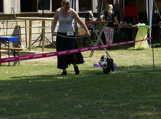 Lishas erste Ausstellung - Groß-Gerau - Puppy Klasse - Juni 2015