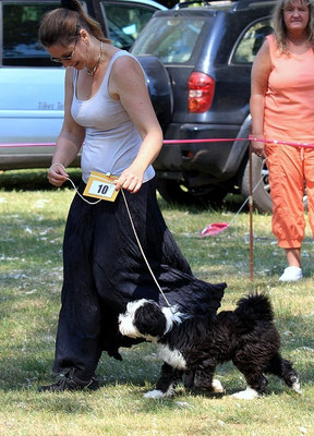 Lishas erste Ausstellung - Groß-Gerau - Puppy Klasse - Juni 2015