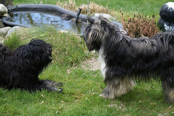 Yeshi und Jita