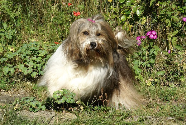 Milka im August 2016