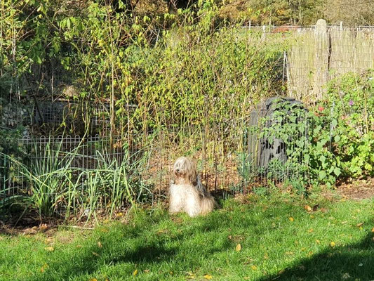 Milka und ihr Garten
