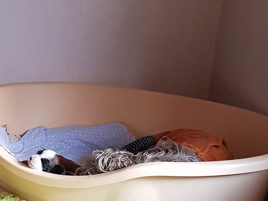 Tag 13 - Mama frisch gebadet, und Inja blinzelt und wird neugierig!