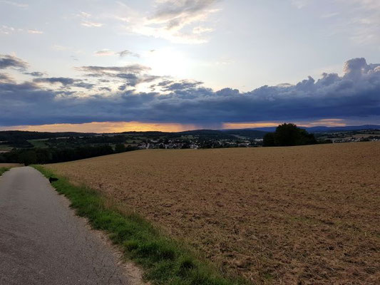Freiheit pur - finde den Welpen ;-)