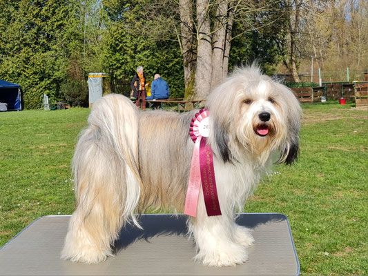 Lakshmi mit 2 Jahren