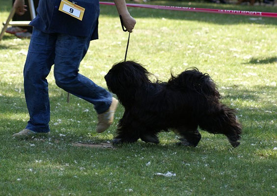 Yeshi in Groß-Gerau 7.6.15