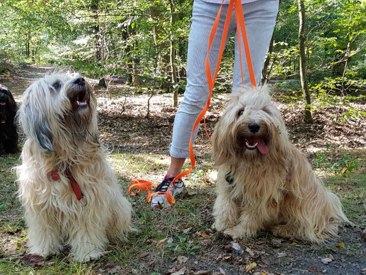 Links Mama Fiona, rechts Töchterchen Shani