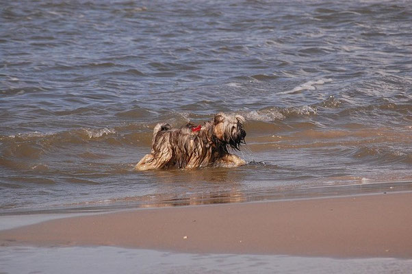 Mon-sha an der Nordsee