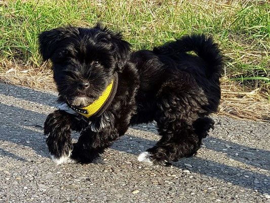 Ist was, Züchterin?